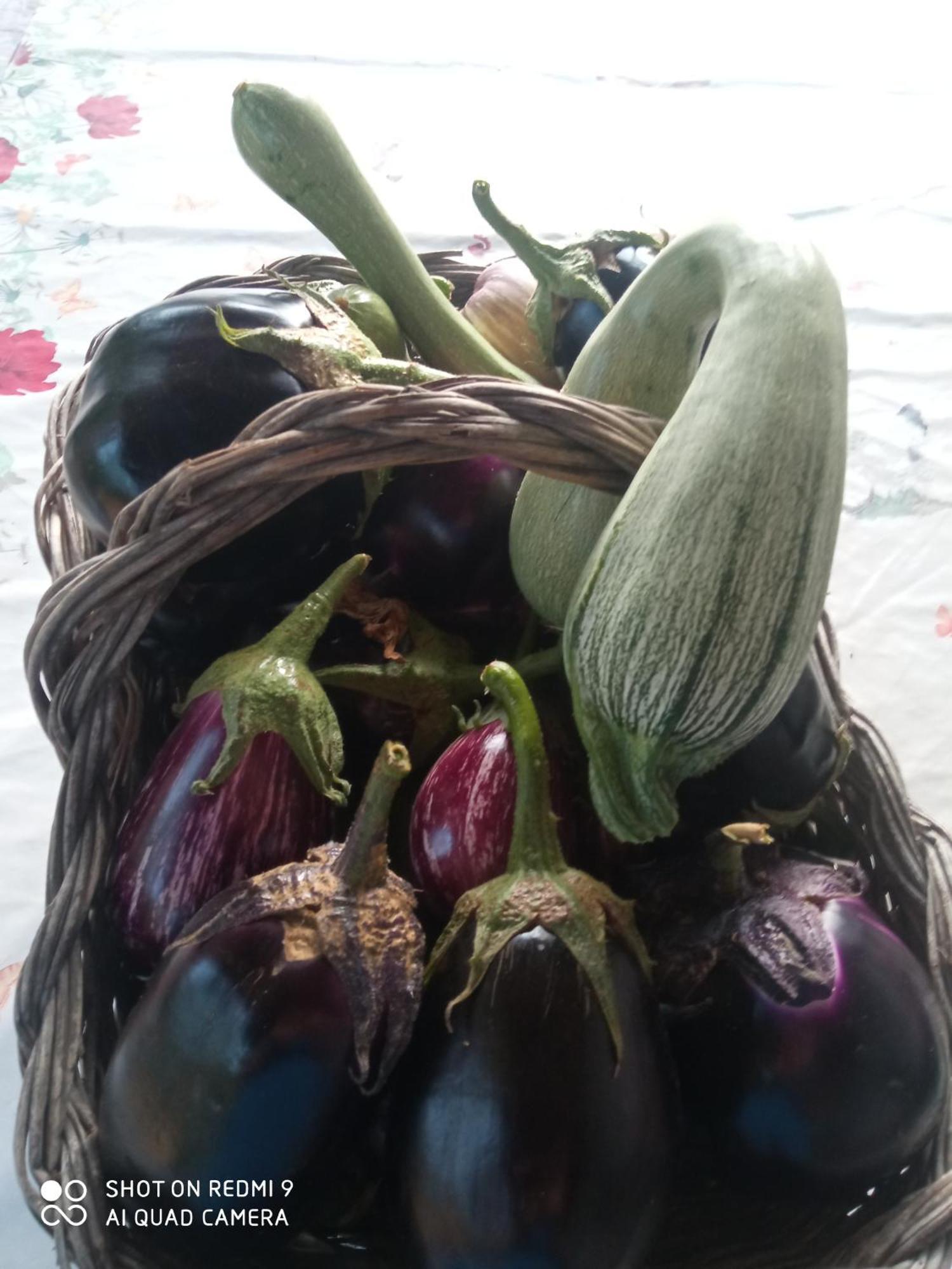 Agri Bertorella Кунео Екстер'єр фото